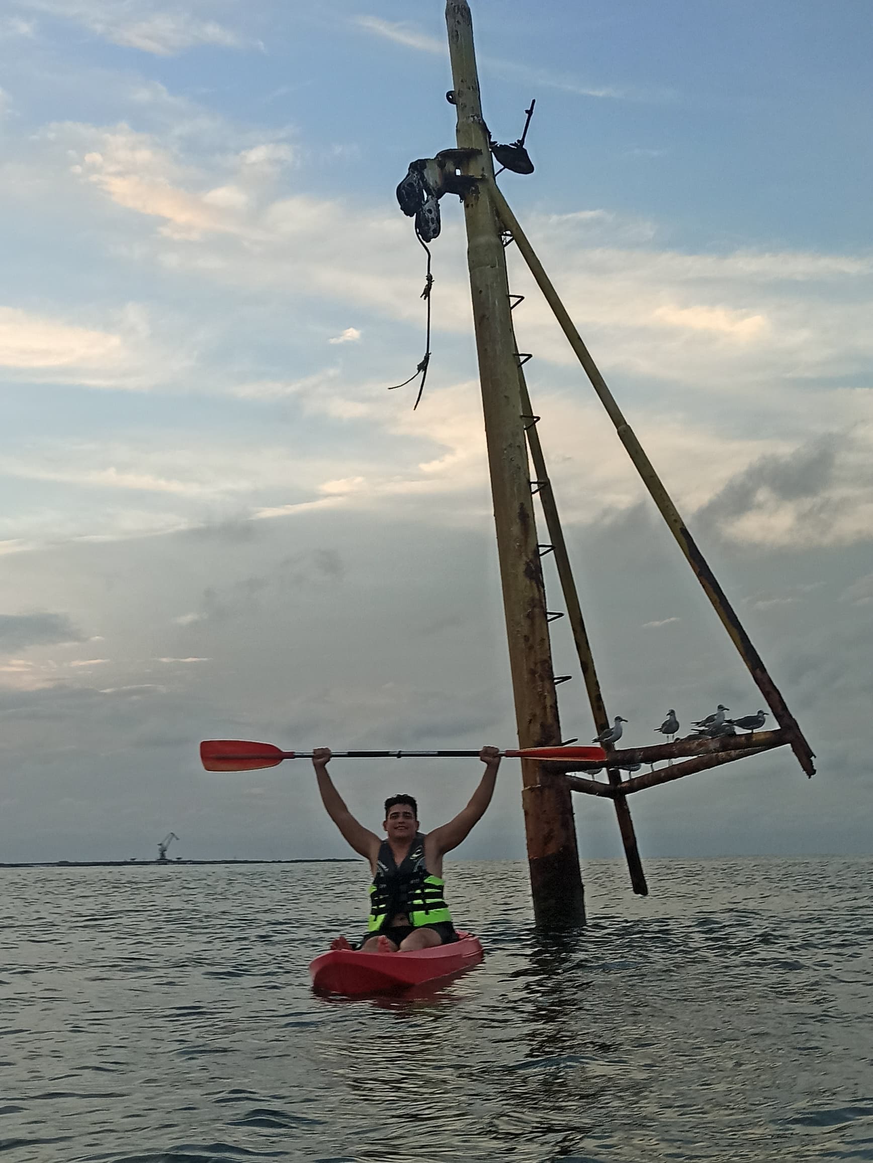 Background - Gustavo G. Riera Profile